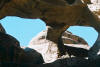 Arches National Park tour