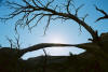 Tours of Arches National Park