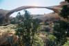 Arches tours