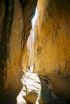 Arches Tours