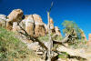 Arches National Park tours