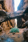 Tour of Arches